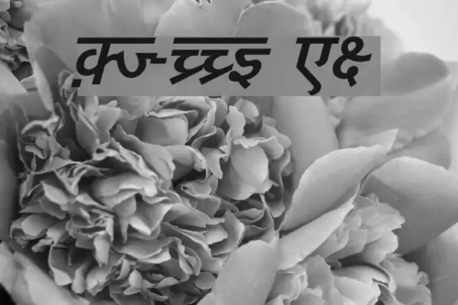 DV-TTYogesh BoldItalic Шрифта examples
