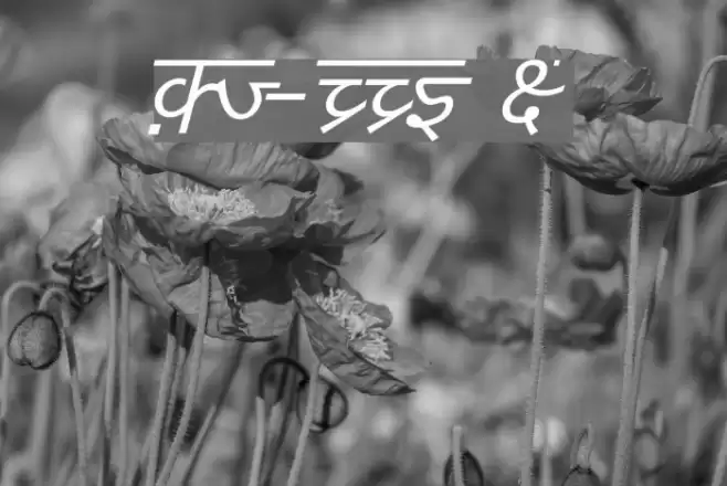 DV-TTYogesh Italic Polices examples