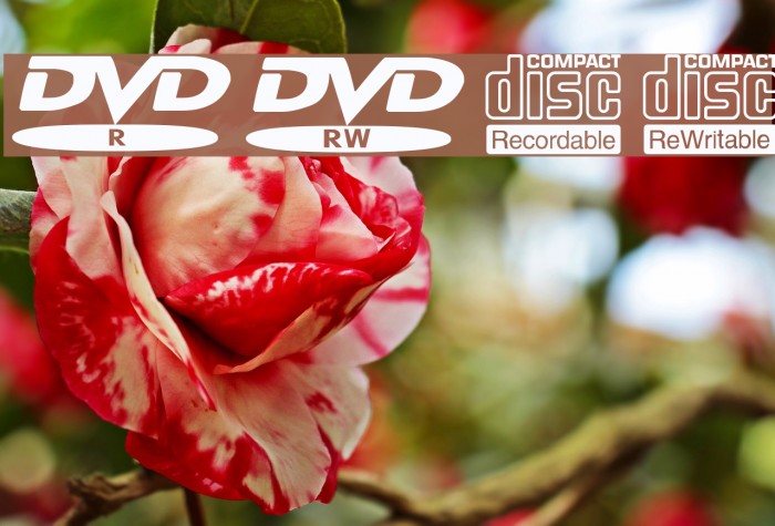 DVDPixPro Font examples