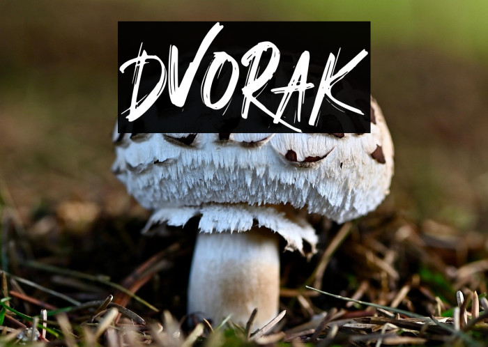DVORAK Example 3