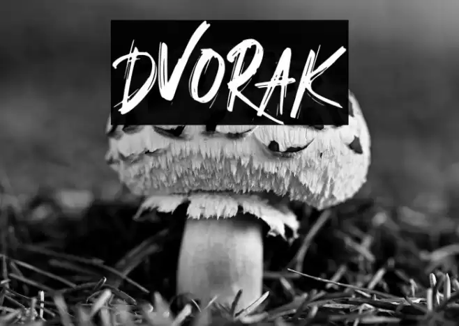 DVORAK Font examples