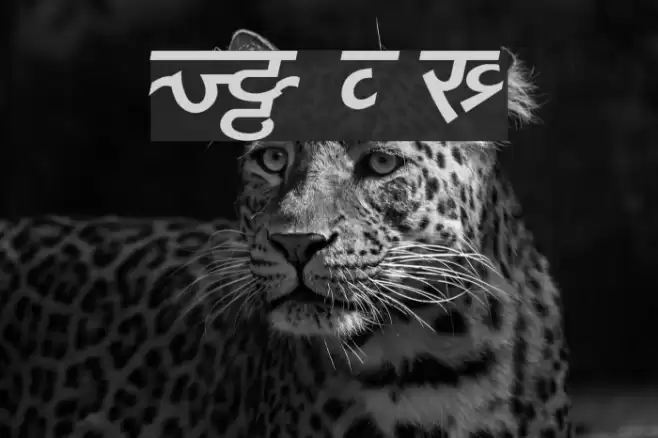 DV_Divyae Bold Italic Font examples