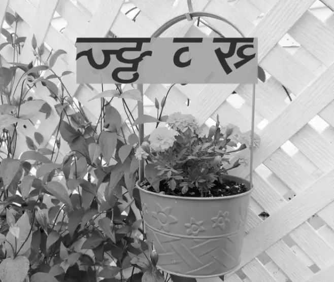 DV_Divyae Bold Italic Font examples