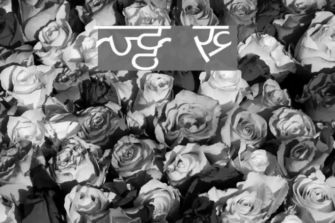 DV_Divyae Italic Font examples