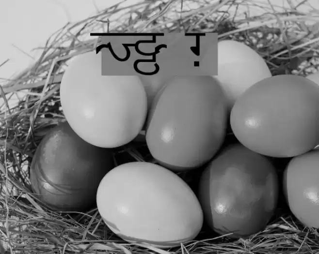 DV_Divyae Normal फ़ॉन्ट examples