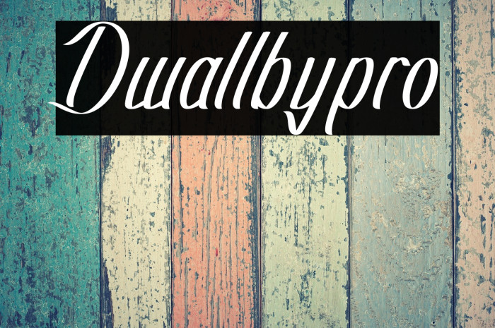 Dwallbypro Example 1