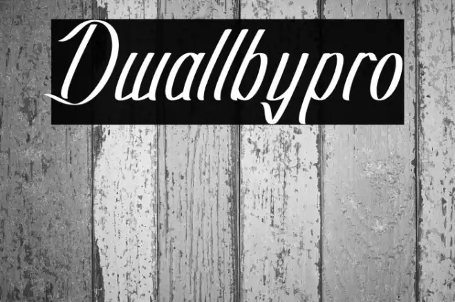 Dwallbypro Example 1