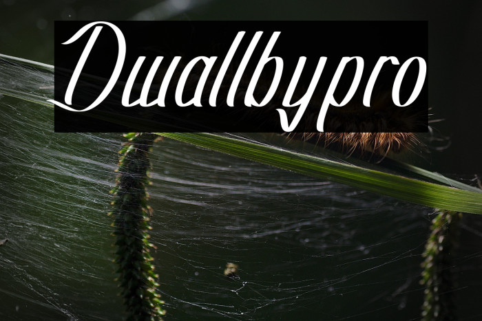 Dwallbypro Example 2