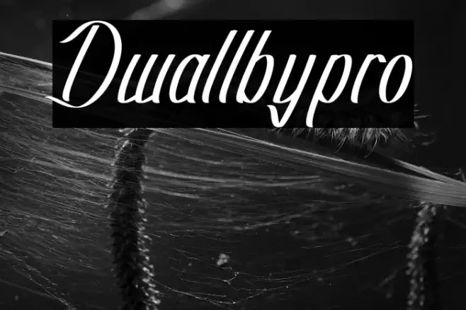 Dwallbypro Example 2