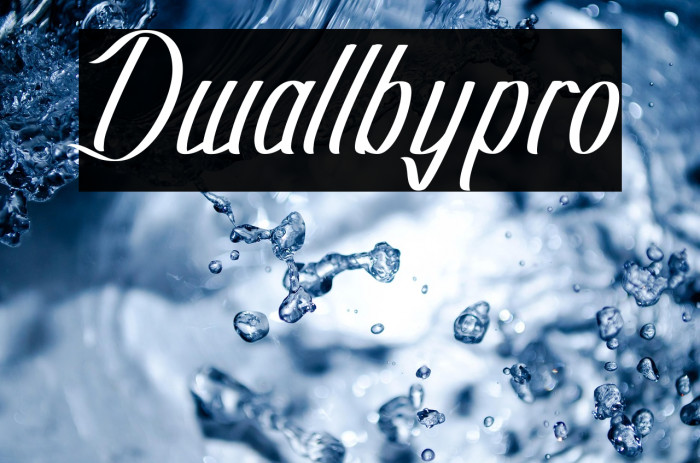 Dwallbypro Example 3