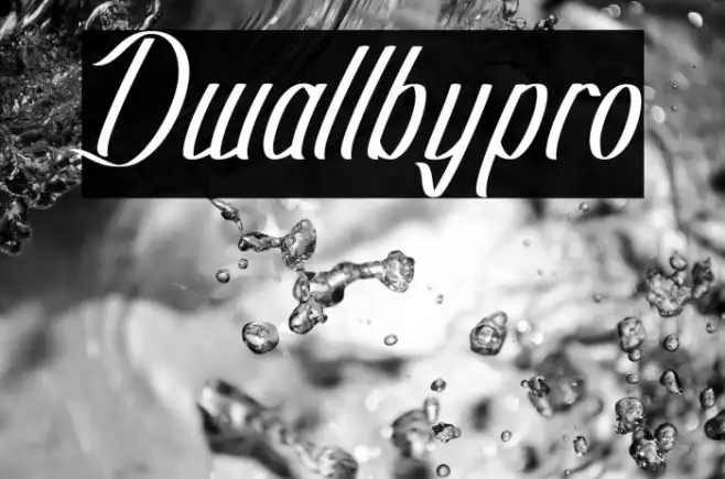Dwallbypro Example 3