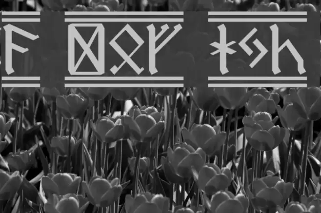 Dwarf Runes 2 Font examples