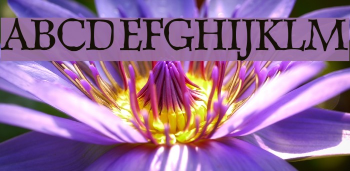 Dweebo Gothic Font examples