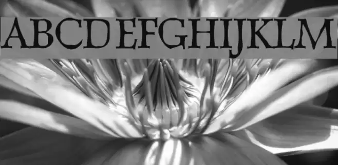 Dweebo Gothic フォント examples