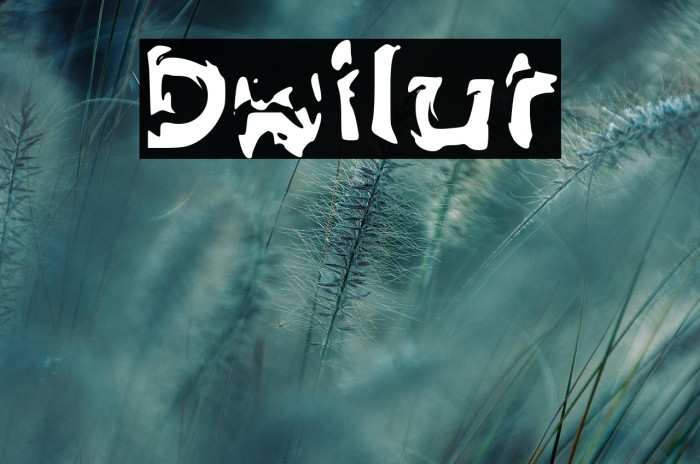 Dwilut Example 1