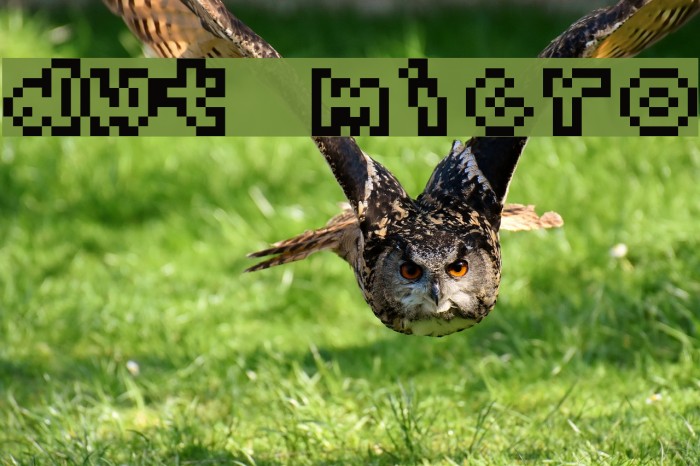 dwt Micro Font examples