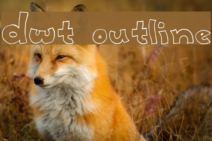 dwt Outline Font examples