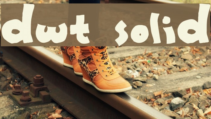 dwt Solid Font examples