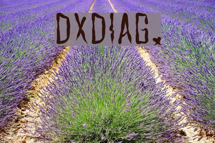 DXDIAG. フォント examples