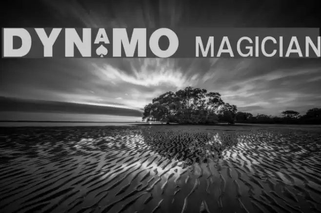 DYNAMO magician Fuentes examples