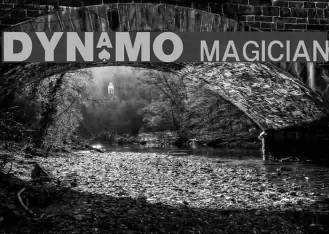 DYNAMO magician Fuentes examples