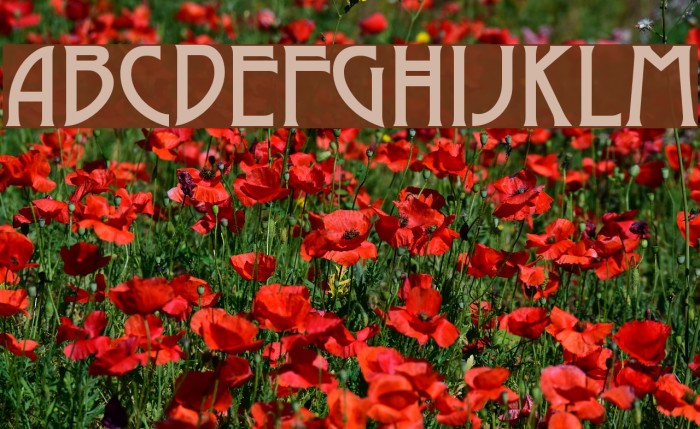 Dyer Font examples