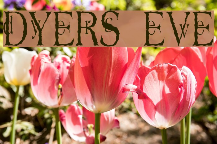 Dyers Eve Font examples