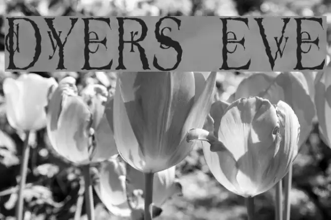 Dyers Eve Example 2