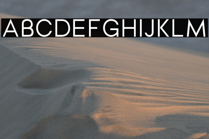 Dylan Gothic Regular Example 3