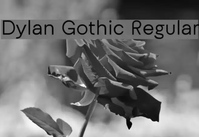 Dylan Gothic Regular Font examples
