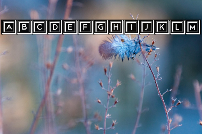 Dylan Regular Example 2