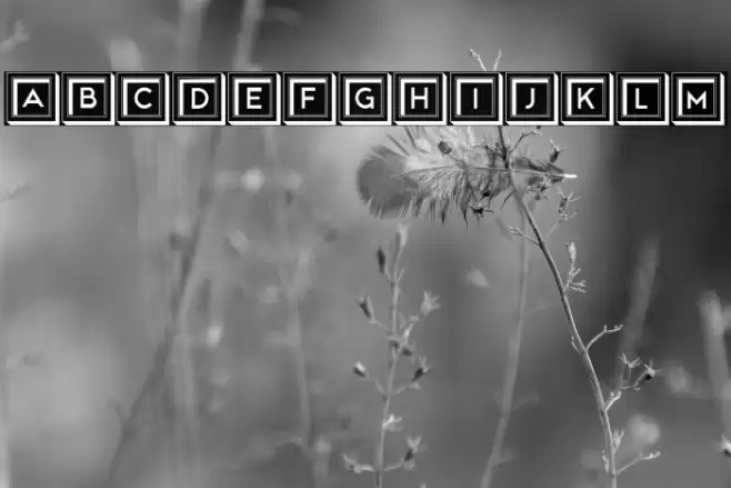 Dylan Regular Font examples