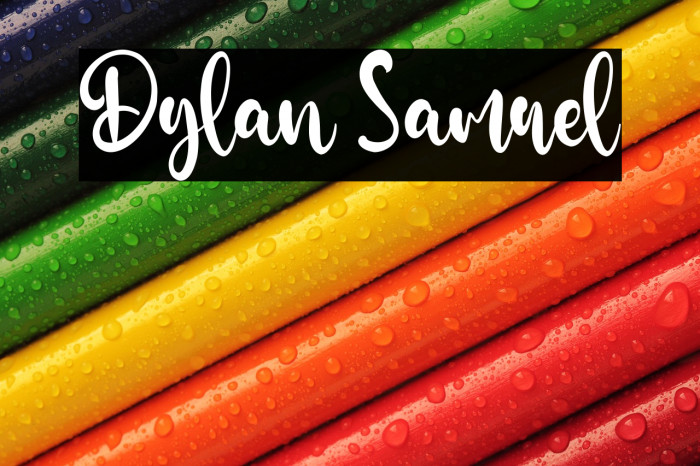 Dylan Samuel Example 1