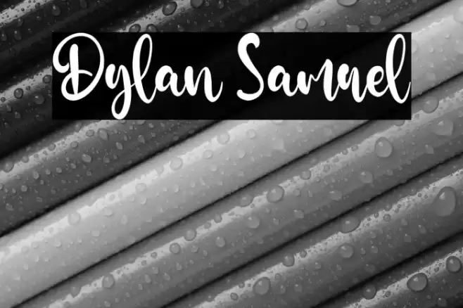 Dylan Samuel Font examples