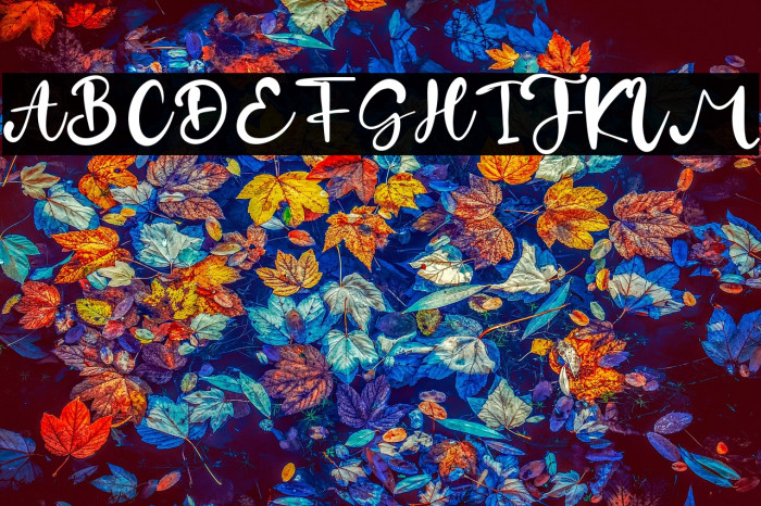 Dylan Velma Example 1