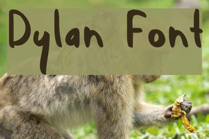 Dylan Font examples