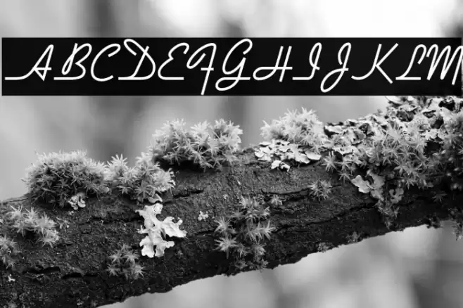 DymaxionScript Fuentes examples