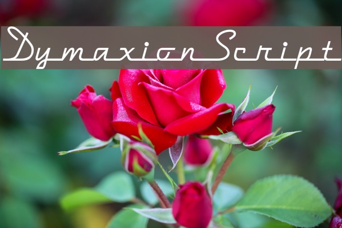DymaxionScript Font examples