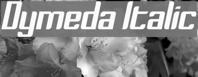 Dymeda Italic Font examples
