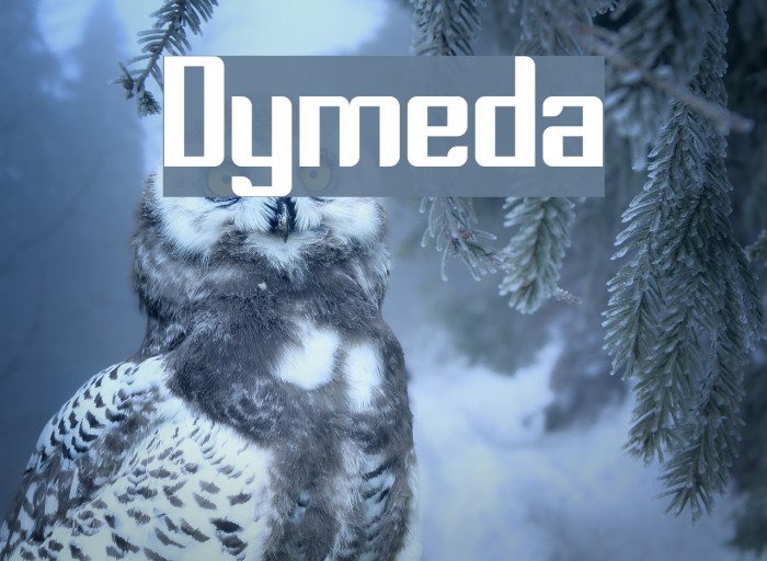 Dymeda Font examples
