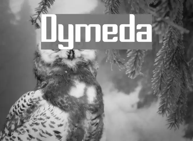 Dymeda Example 1