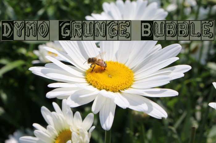 Dymo Grunge Bubble Font examples