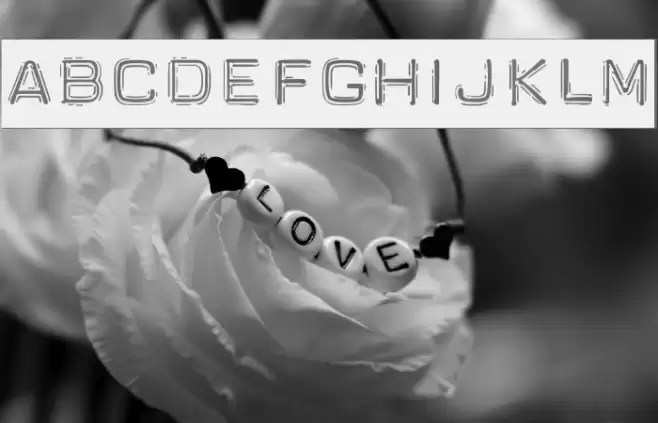 Dymo Polices examples