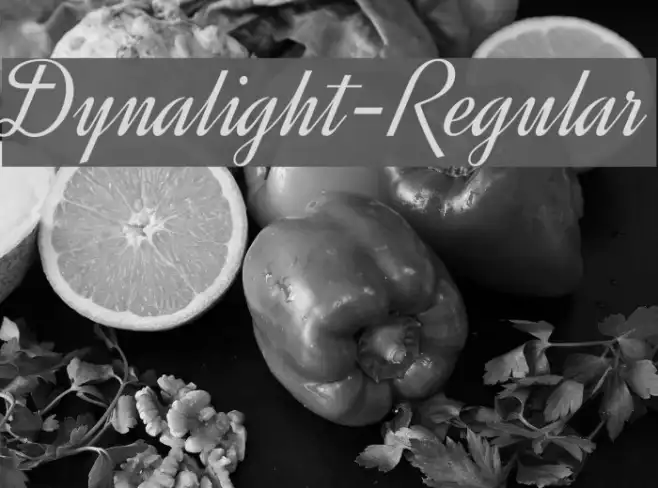 Dynalight-Regular Example 2