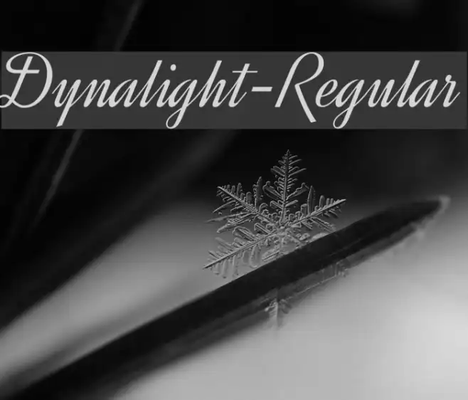 Dynalight-Regular Example 3
