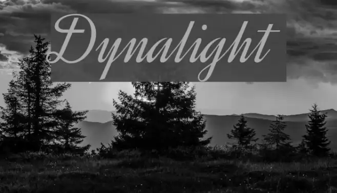 Dynalight Example 1
