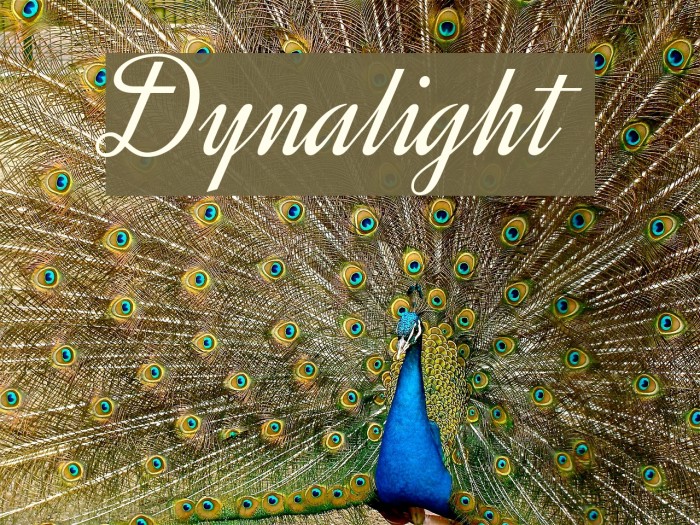 Dynalight Font examples