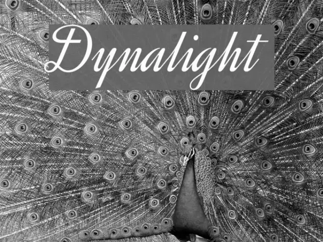 Dynalight Example 2