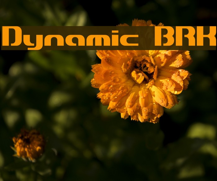 Dynamic BRK Font examples