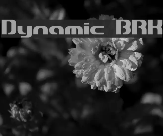 Dynamic BRK Example 1